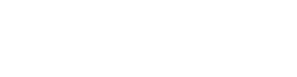 DSV Fund logo